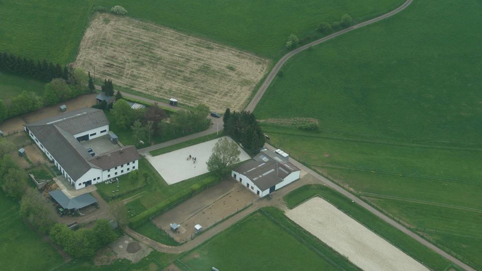 Gestuet03