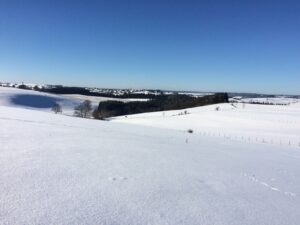 IMG_2246