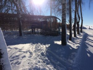 IMG_2249-1