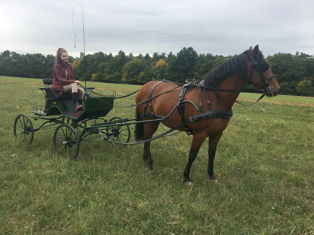 eloise_ungarn